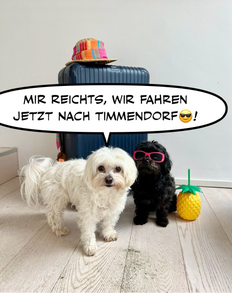 Bild zu Eintrag 