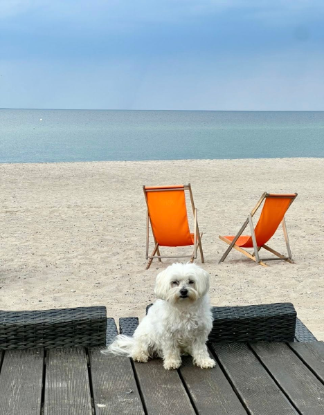 Bild zu Eintrag