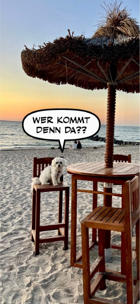 Bild zu Eintrag 