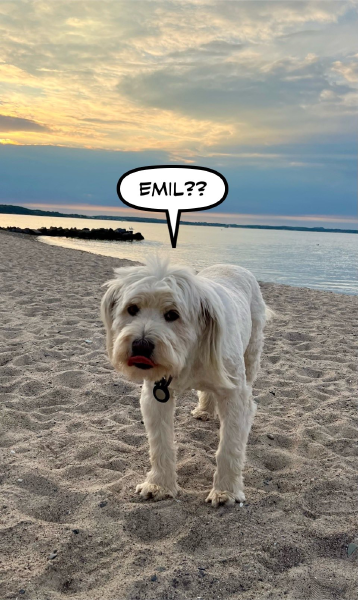 Bild zu Eintrag 