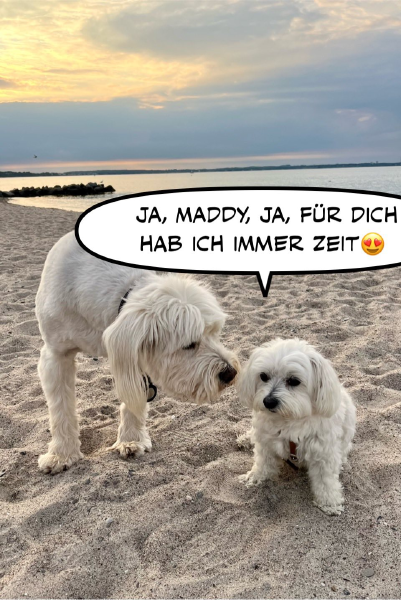 Bild zu Eintrag