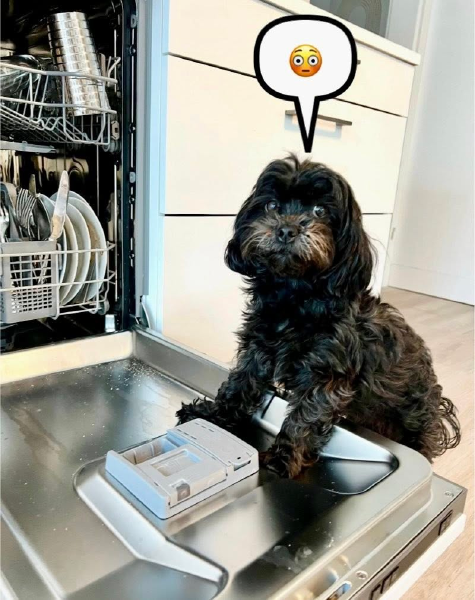 Bild zu Eintrag