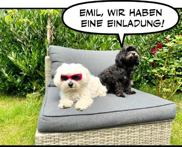 Bild zu Eintrag 
