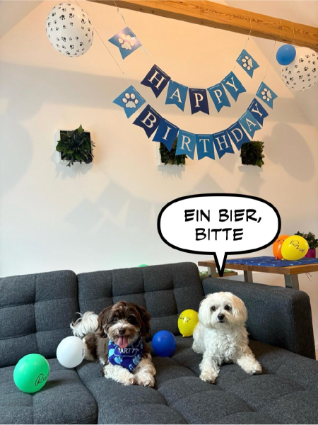 Bild zu Eintrag 