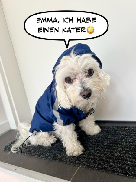 Bild zu Eintrag