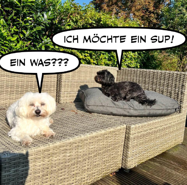 Bild zu Eintrag 