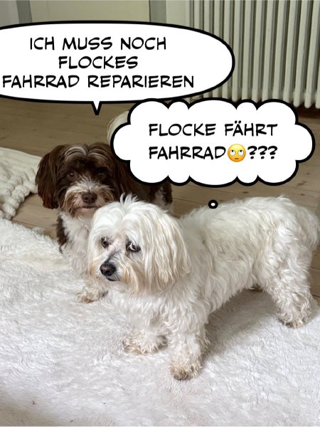 Bild zu Eintrag 