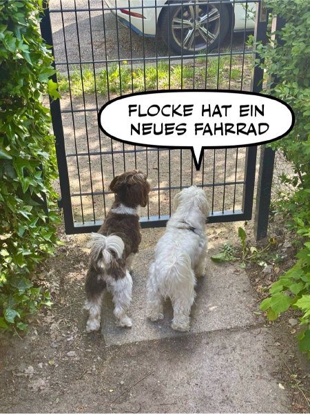 Bild zu Eintrag 