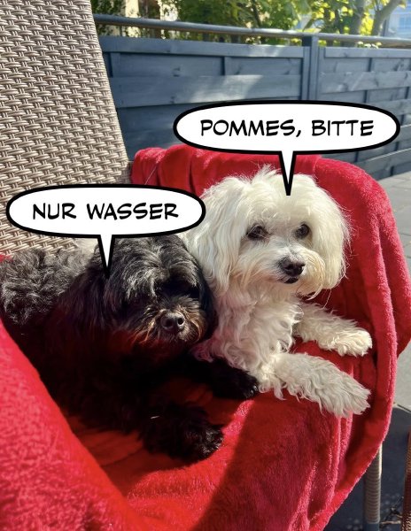 Bild zu Eintrag 