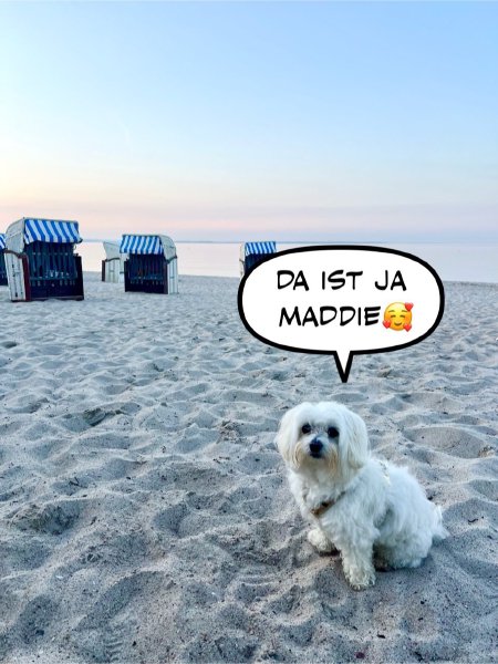 Bild zu Eintrag 