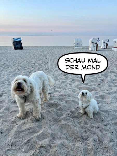 Bild zu Eintrag 