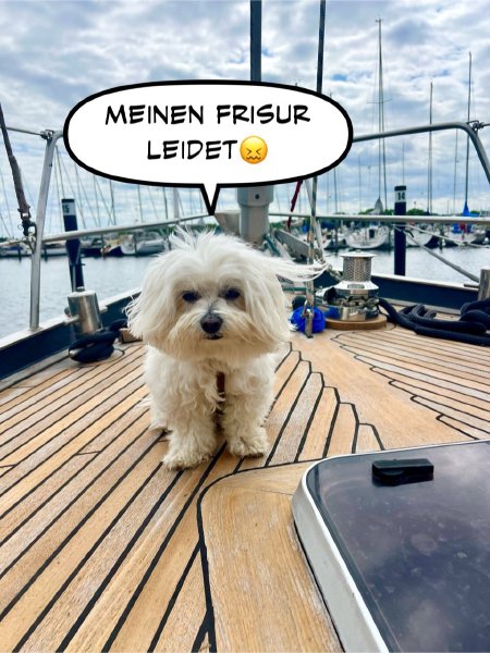 Bild zu Eintrag 