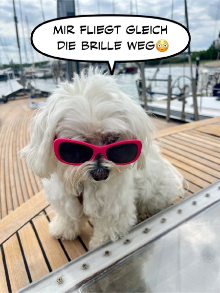 Bild zu Eintrag 