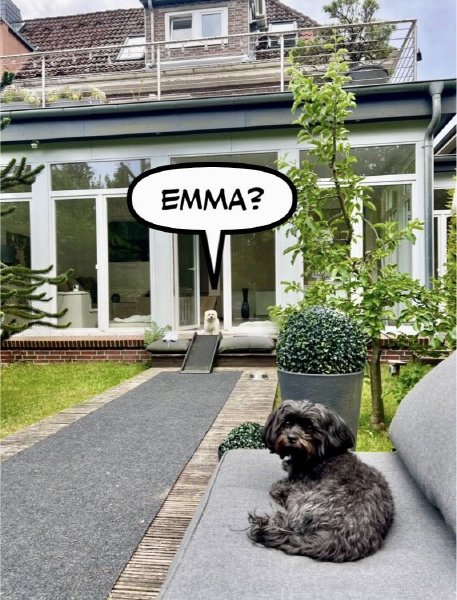 Bild zu Eintrag 