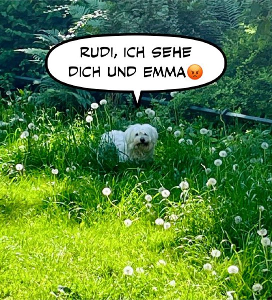 Bild zu Eintrag 