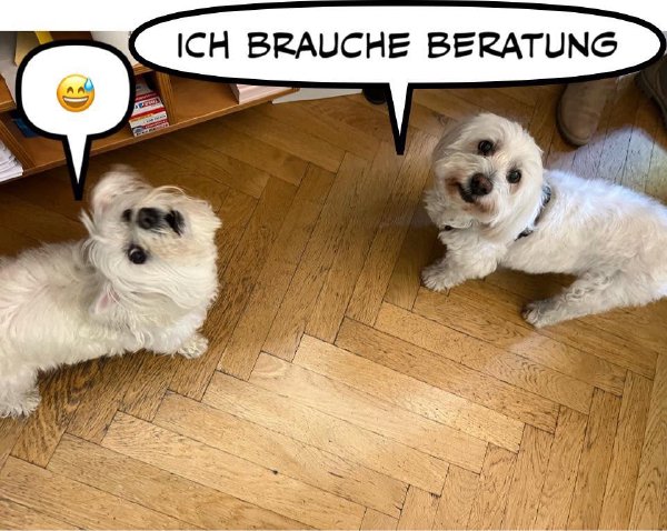 Bild zu Eintrag 