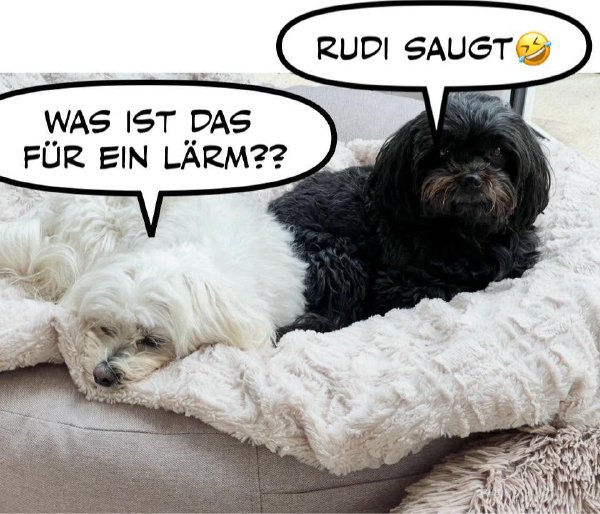 Bild zu Eintrag 