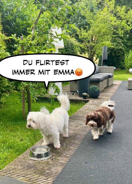 Bild zu Eintrag 