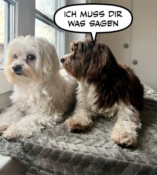 Bild zu Eintrag 