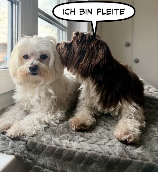 Bild zu Eintrag 
