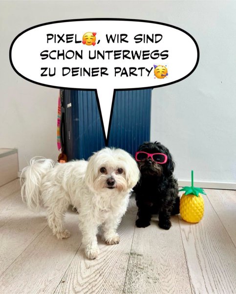 Bild zu Eintrag