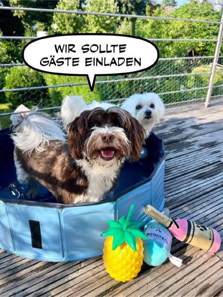 Bild zu Eintrag 