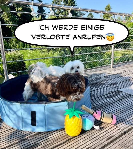 Bild zu Eintrag 
