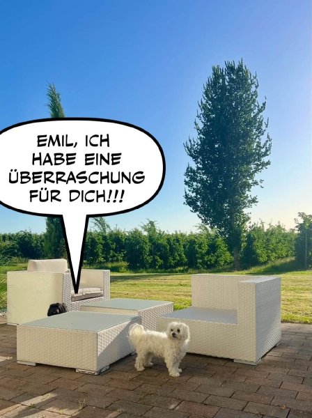 Bild zu Eintrag 
