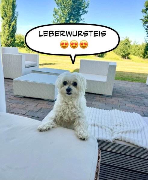 Bild zu Eintrag 