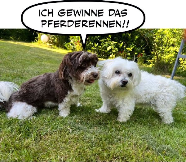 Bild zu Eintrag 