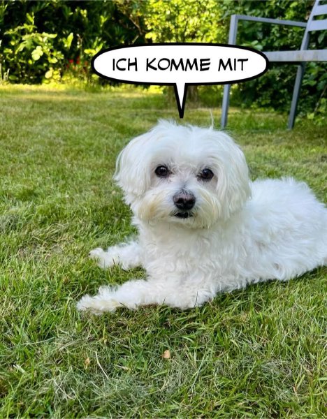 Bild zu Eintrag 