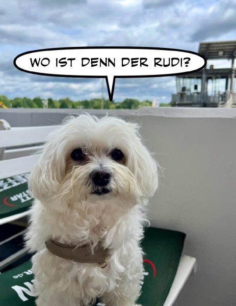 Bild zu Eintrag 