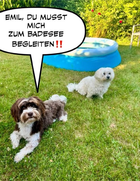 Bild zu Eintrag 