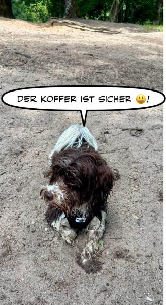 Bild zu Eintrag 