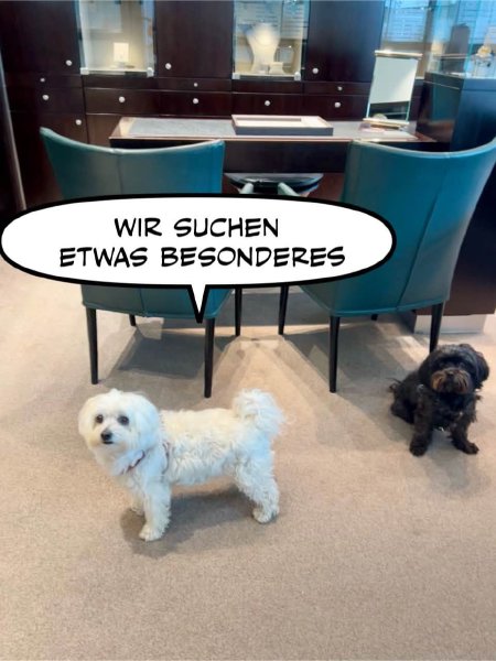 Bild zu Eintrag 