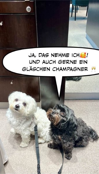 Bild zu Eintrag 