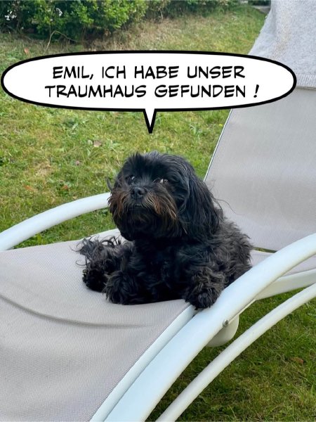 Bild zu Eintrag 