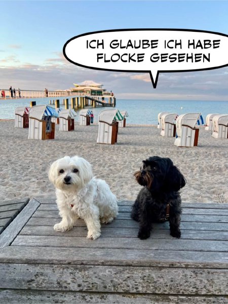 Bild zu Eintrag 