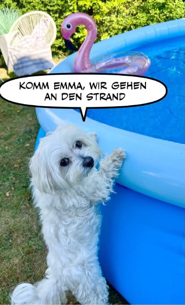 Bild zu Eintrag 