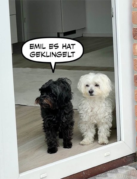 Bild zu Eintrag 