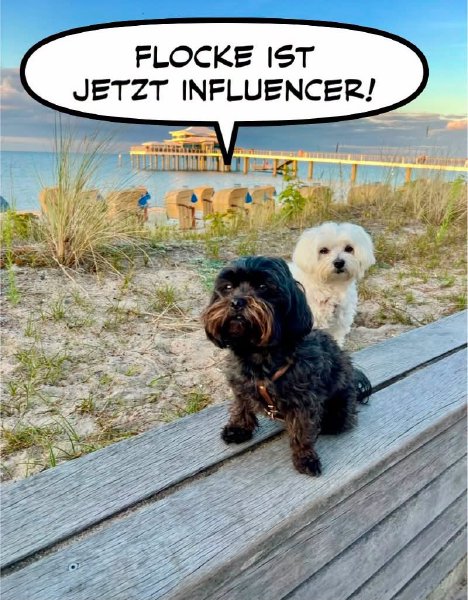 Bild zu Eintrag 