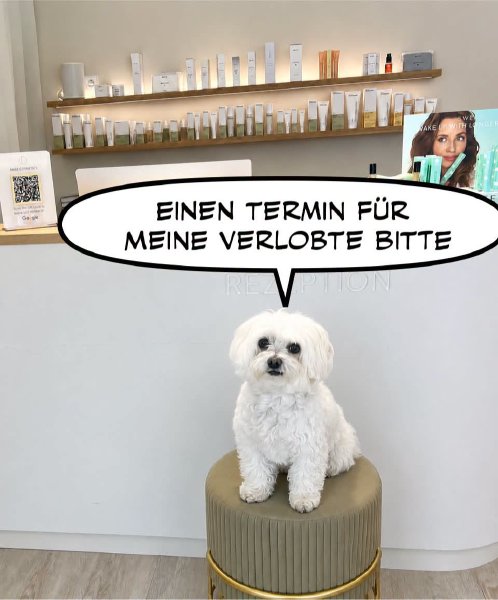 Bild zu Eintrag 