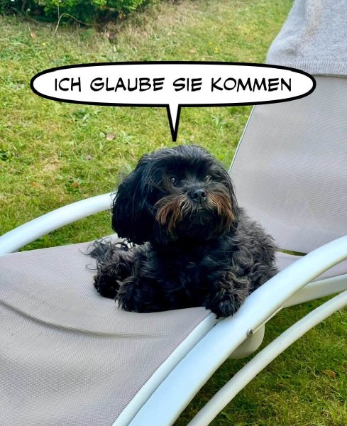 Bild zu Eintrag 