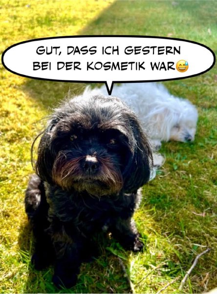 Bild zu Eintrag 