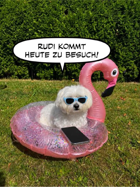 Bild zu Eintrag 