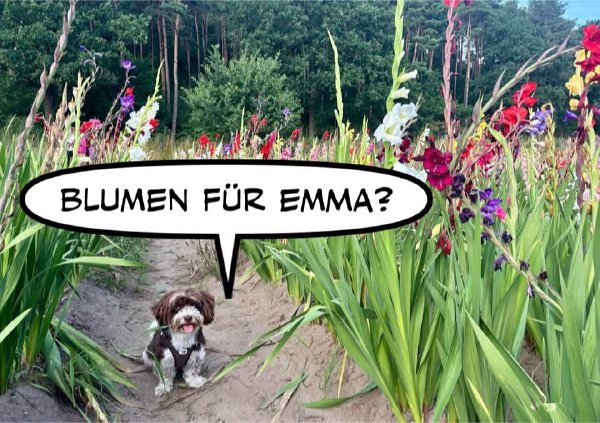 Bild zu Eintrag 