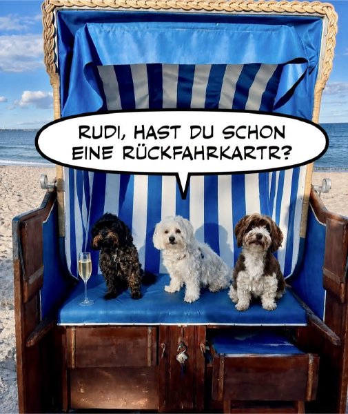 Bild zu Eintrag 