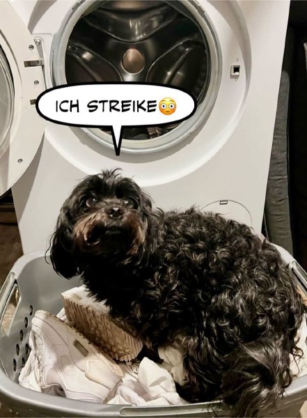 Bild zu Eintrag 