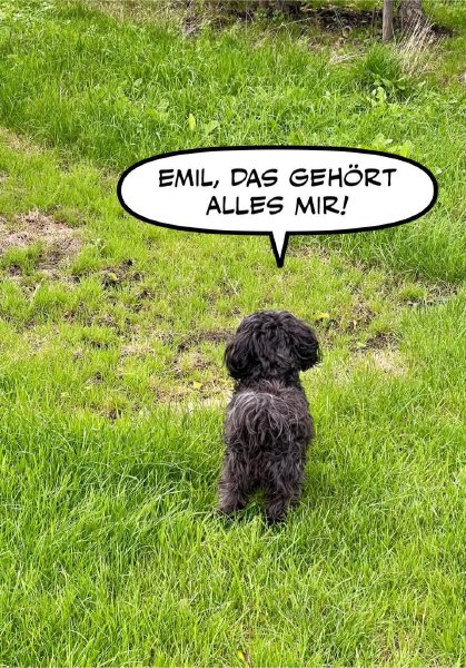 Bild zu Eintrag 