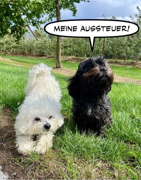 Bild zu Eintrag 